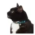 Whisker City® Astrology Easy Release Kitten & Cat Collar image thumbnail 2