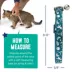 Whisker City® Astrology Easy Release Kitten & Cat Collar image thumbnail 5