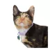 Whisker City® Purple Moon Easy Release Kitten & Cat Collar image thumbnail 2