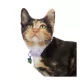 Product Whisker City® Purple Moon Easy Release Kitten & Cat Collar