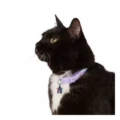 Product Whisker City® Purple Moon Easy Release Kitten & Cat Collar