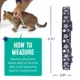 Product Whisker City® Night Stars Easy Release Kitten & Cat Collar