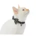 Whisker City® Crossbones Bow Tie Easy Release Kitten & Cat Collar image thumbnail 2