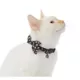 Product Whisker City® Crossbones Bow Tie Easy Release Kitten & Cat Collar