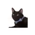 Whisker City® Blue Dots Bow Tie Easy Release Kitten & Cat Collar image thumbnail 2