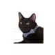 Product Whisker City® Blue Dots Bow Tie Easy Release Kitten & Cat Collar