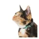 Product Whisker City® Green Plaid Easy Release Kitten & Cat Collar