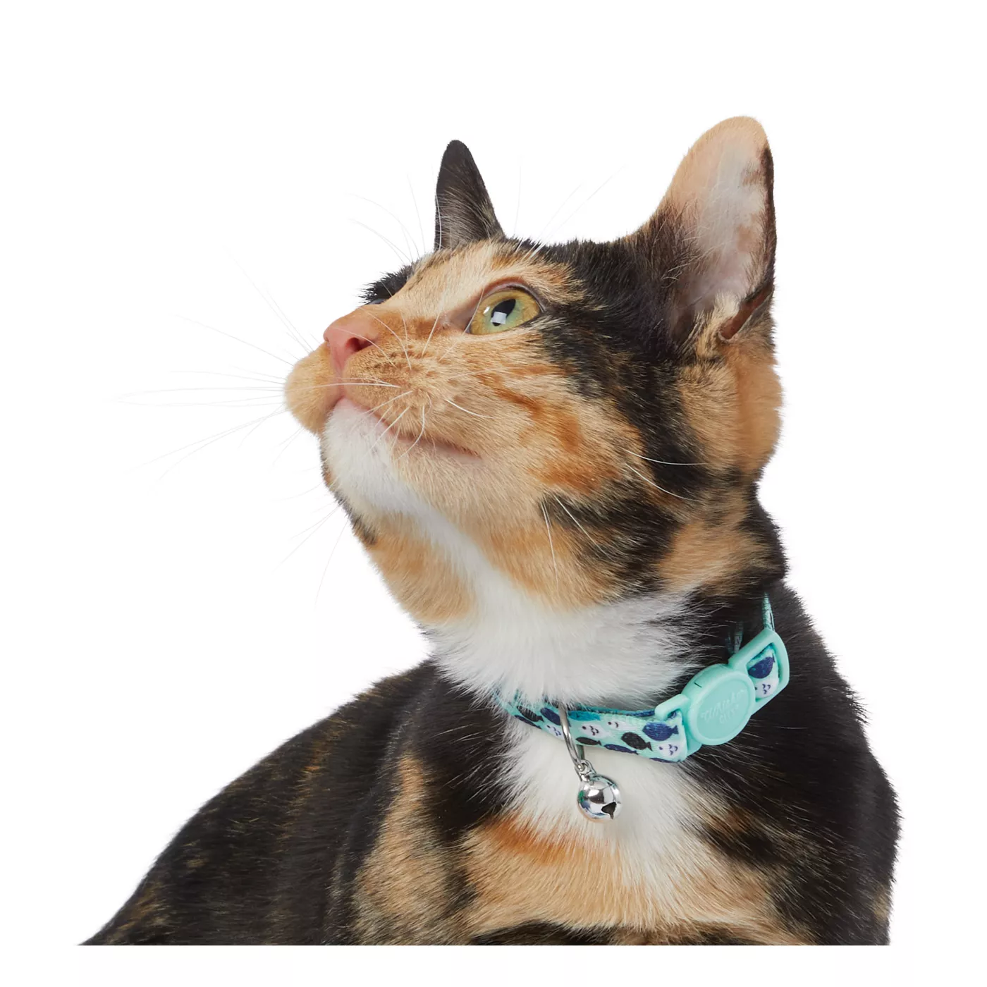 Light shops blue cat collar