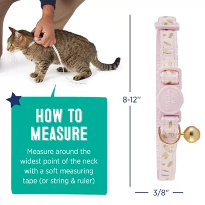 Petsmart cat collars best sale