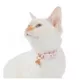 Product Whisker City® Pineapple Easy Release Kitten Collar