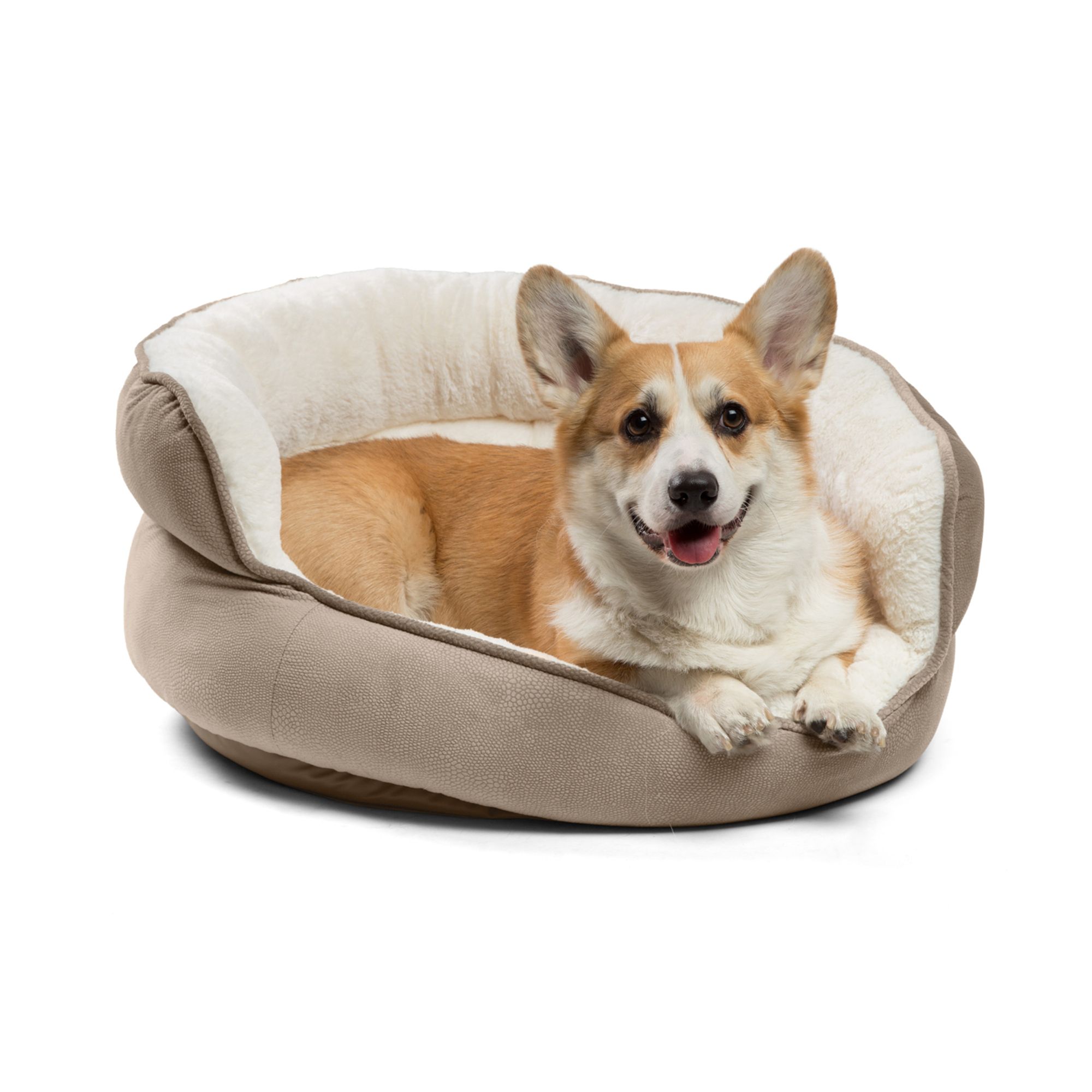 Halo dog bed cuddler hotsell