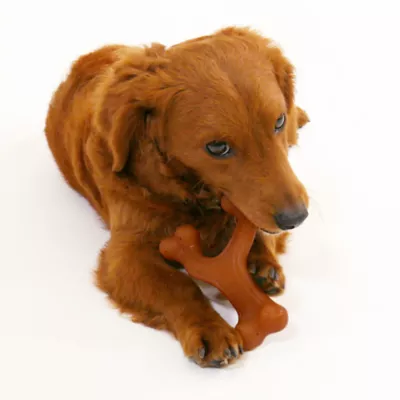 Product Nylabone® Gourmet Wishbone Chew Dog Toy - Bacon