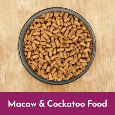 Product Kaytee NutriSoft Macaw & Cockatoo Food