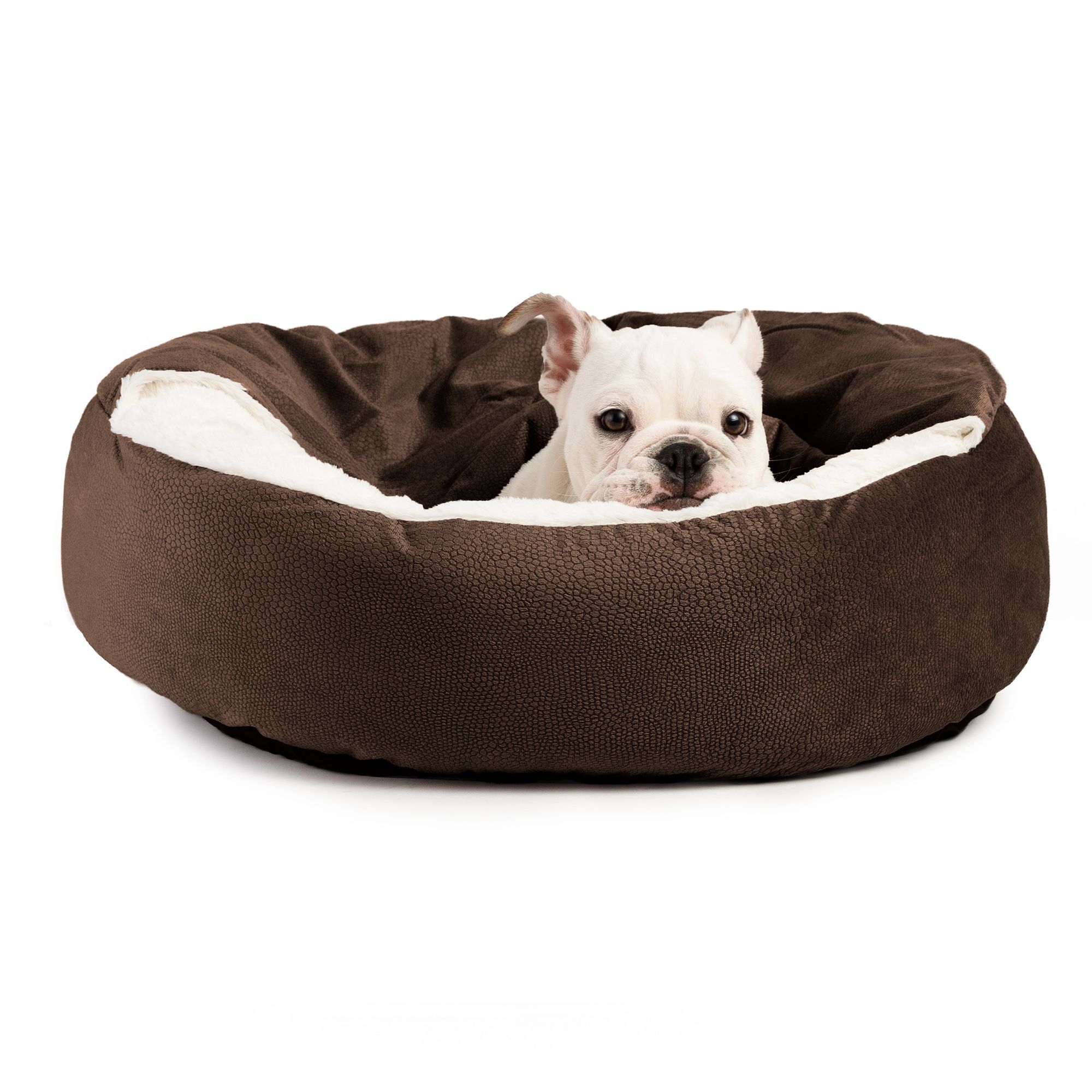 Catch of the day dog bed sale