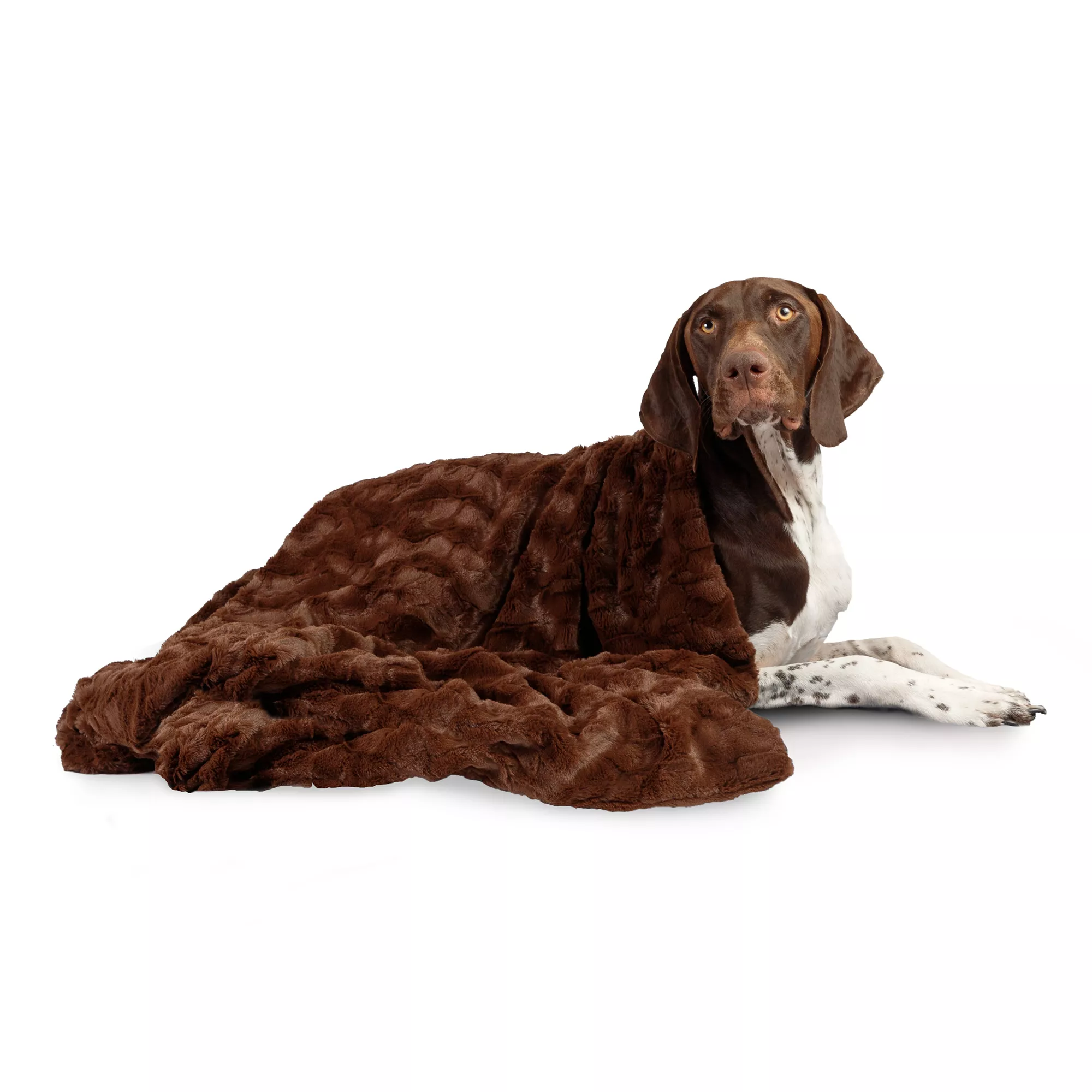 Best Friends by Sheri Lux Faux Fur Pet Throw Blanket