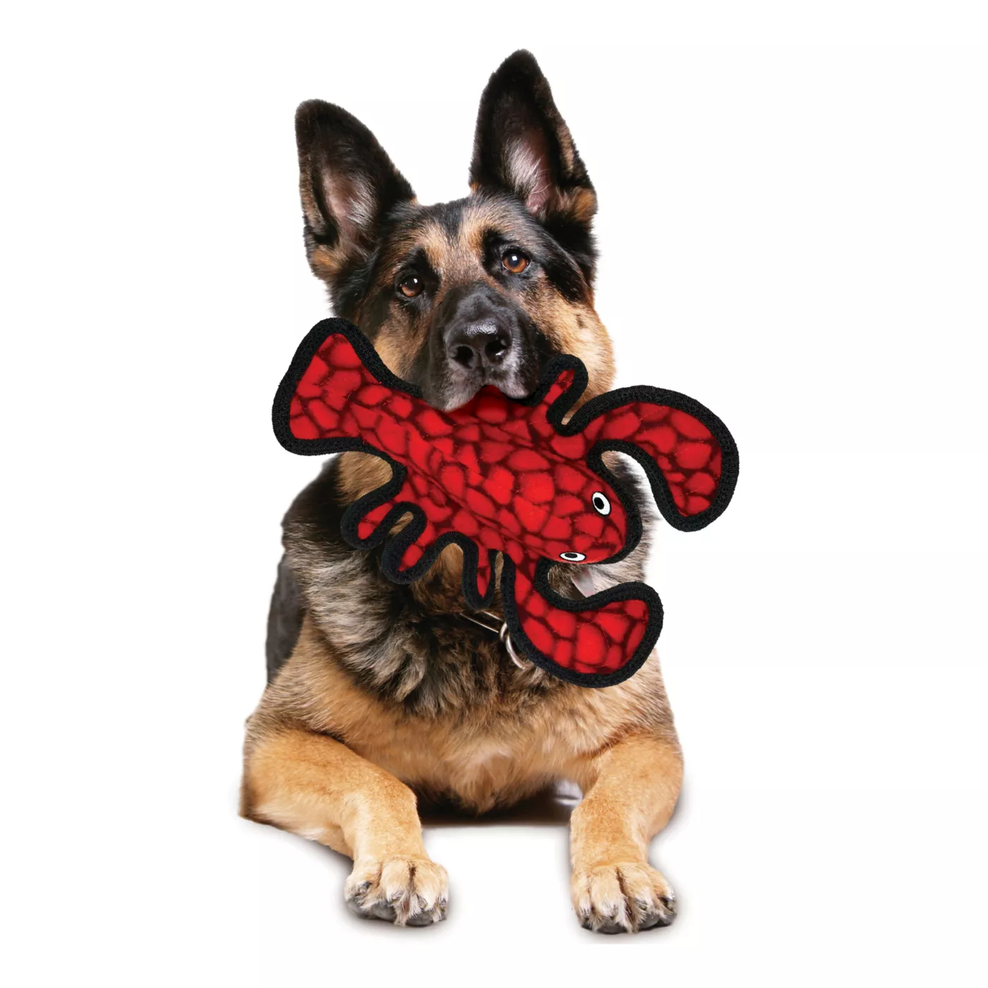 TUFFY Ocean Creature Junior Lobster Dog Toy Tough Plush