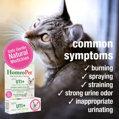 HomeoPet® Cat Supplement - Natural Urinary Tract Support - UTI+, 15 ml - Image 3