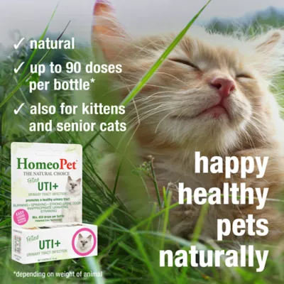 HomeoPet® Cat Supplement - Natural Urinary Tract Support - UTI+, 15 ml - Image 4