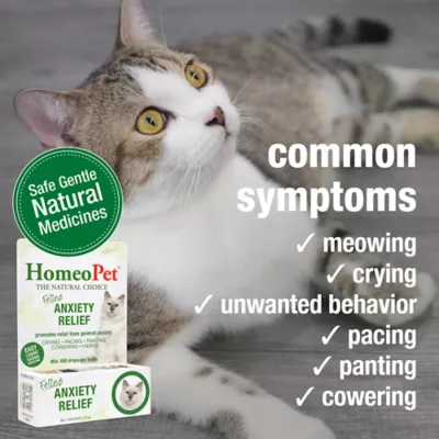 HomeoPet Feline Anxiety Relief Liquid - Cat Stress & Anxiety Relief Aid, 15 mL - Image 3