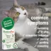 HomeoPet Feline Anxiety Relief Liquid - Cat Stress & Anxiety Relief Aid, 15 mL image thumbnail 3