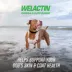 Nutramax® Welactin Omega-3 Soft Chews image thumbnail 2
