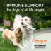 Nutramax® Imuquin Dog Immune Support Powder Supplement, Supports Immune System, 30 Count image thumbnail 3