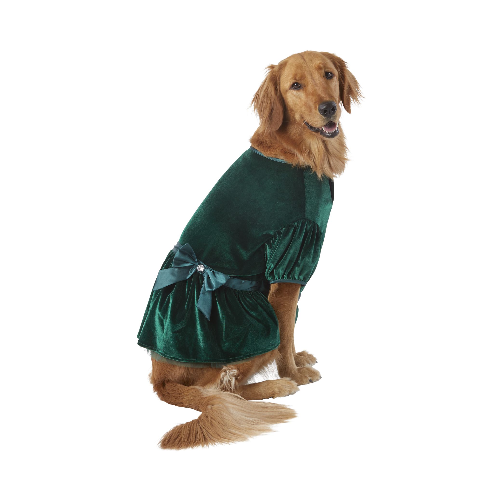 Merry & Bright™ Holiday Green Velvet Party Dog Dress dog Dresses