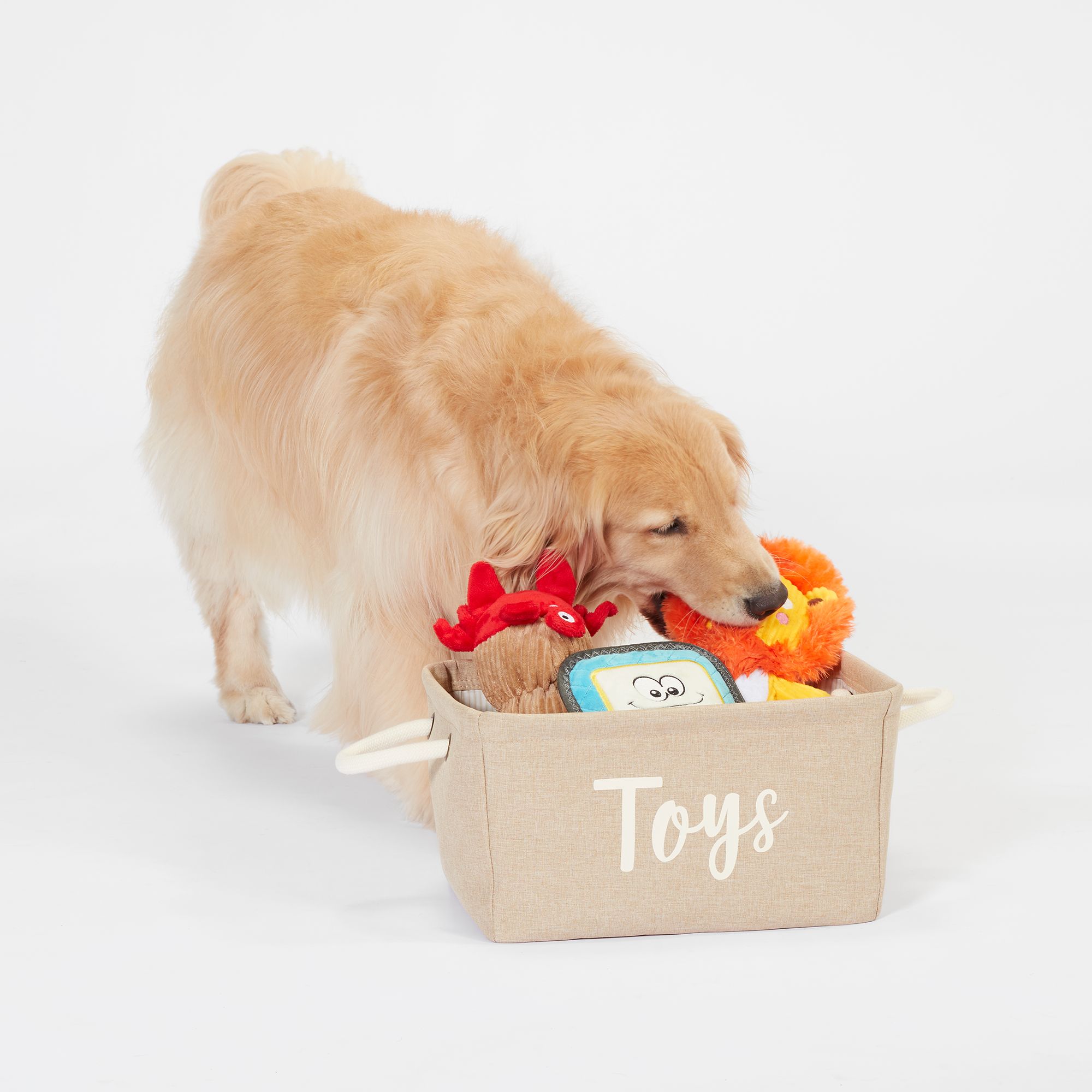bella dog bowl mat The Fritz Bowl Mat