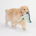 Joyhound® Bite Shield™ Protection Plush Sting Ray Dog Toy - Squeaker, Crinkle image thumbnail 3