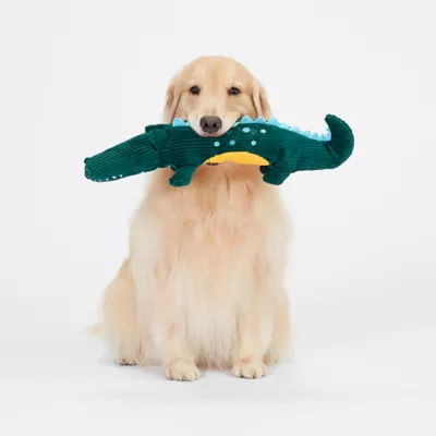 Product Joyhound® Bite Shield™ Protection Plush Crocodile Dog Toy - Squeaker, Crinkle