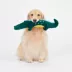 Joyhound® Bite Shield™ Protection Plush Crocodile Dog Toy - Squeaker, Crinkle image thumbnail 3