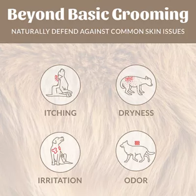 Product Skout's Honor® Probiotic Dog of Woods Shampoo & Conditioner
