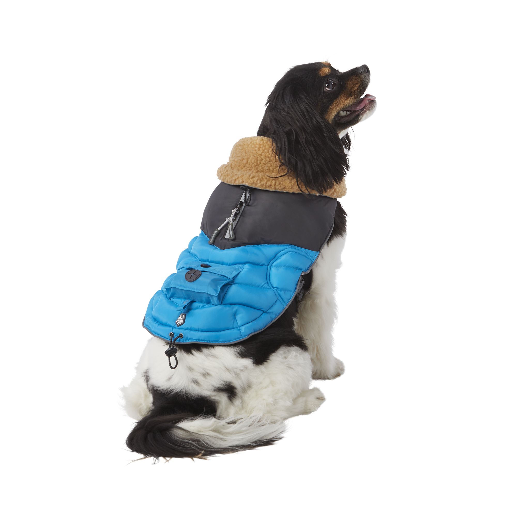 Arcadia Trail™ Ultra Adjustable Insulated Dog Coat dog Jackets & Coats PetSmart