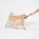 Product Joyhound Rope Tug Stick Dog Toy