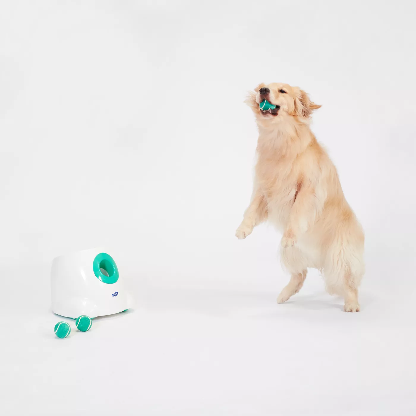 Doggy fun automatic ball launcher hotsell