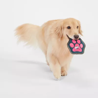 Indestructible dog toys petsmart best sale