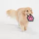 Product Joyhound Rip Roarin' Tough Paw Dog Toy - Squeaker