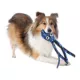 Product TUFFY® Ocean Creature Squid Dog Toy - Tough Plush