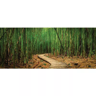 Product Top Fin® Trail & Bamboo Forest Reversible Aquarium Background