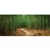 Top Fin® Trail & Bamboo Forest Reversible Aquarium Background image thumbnail 1