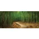 Product Top Fin® Trail & Bamboo Forest Reversible Aquarium Background