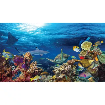 Product Top Fin® Sunlight & Coral Reef Forest Reversible Aquarium Background