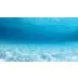 Top Fin® Sunlight & Coral Reef Forest Reversible Aquarium Background image thumbnail 2