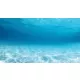 Product Top Fin® Sunlight & Coral Reef Forest Reversible Aquarium Background