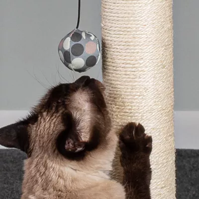 Product Hauspanther Cat Scratch Pole