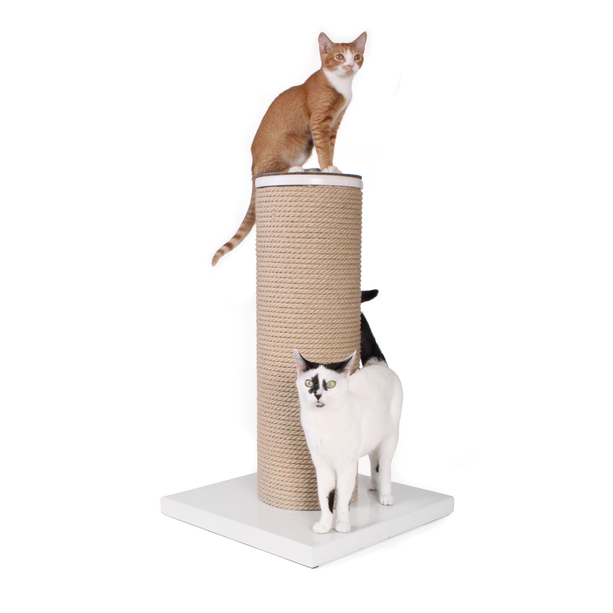 Hauspanther MaxScratch Cat Scratcher in White cat Scratchers PetSmart