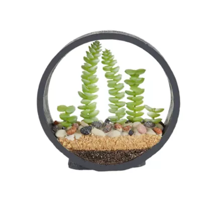 Product Top Fin® Artificial Round Plant Set