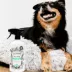 Pet-Pourri Air + Fabric Spray Odor Eliminator image thumbnail 4