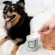 Product Pet-Pourri Pet Odor Eliminator Candle