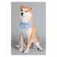 Product Touchdog Dizzy-Eyed Cyclops Cotton Velcro Dog Bandana & Scarf